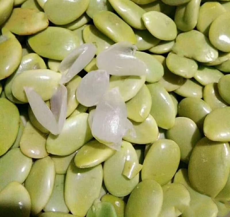 Sugar-Free Gleditsia Sinensis & Snow Lotus Seeds - Healthy Beverage Mix