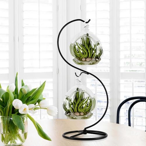 13-Inch Black Metal Ornament Display Stand with Two Hooks