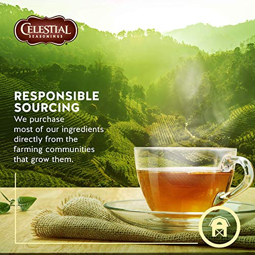 Celestial Seasonings Herbal Tea Sampler - 18 Count (3 Pack)