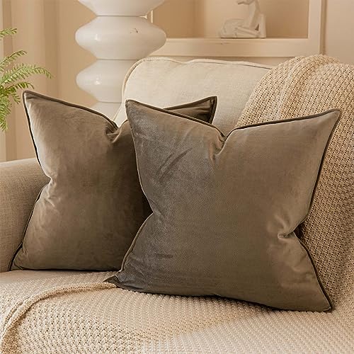 Velvet Decorative Pillow Covers Set of 2 with Hidden Zipper