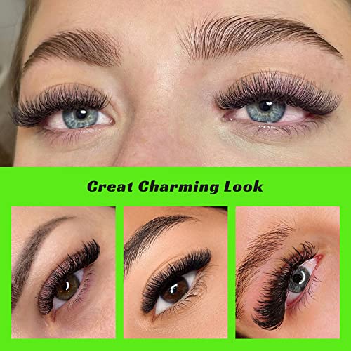 500 Premade Lash Fans 10D 0.07 D Curl 8-15mm - Kolybel Volume Lash Extensions