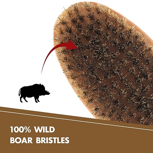Kootinn Boar Bristle Beard Brush for Men - Travel-Friendly Wooden Brush