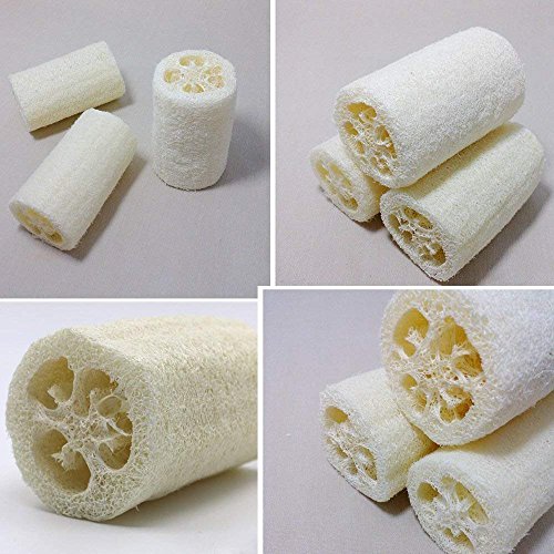 Organic Loofahs 6-Pack Exfoliating Body Wash Sponges - 5"