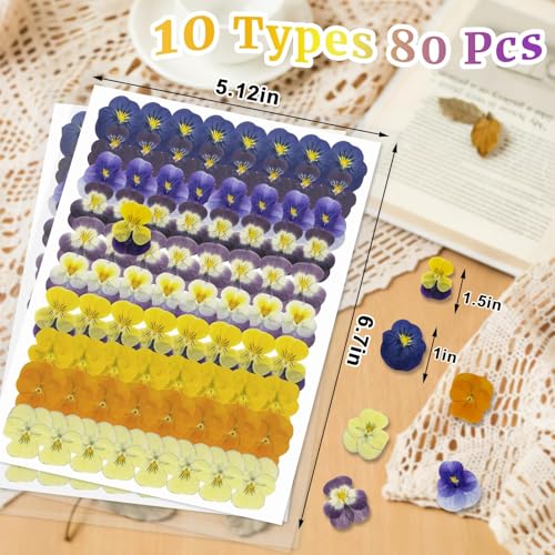 80 Pcs Dried Edible Flowers for Cake Decorating & Crafts