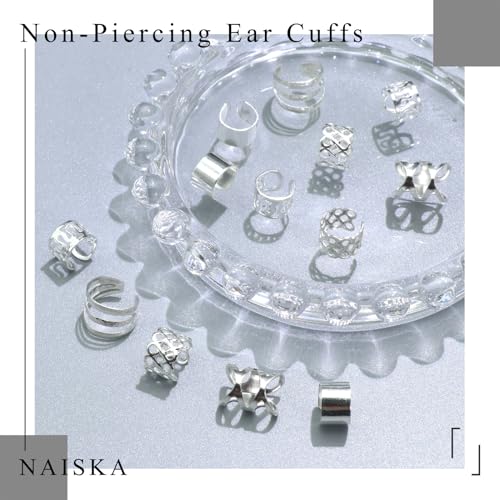 NAISKA 30PCS Silver Hair Jewelry for Braids & Dreadlocks