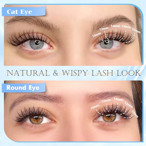 PHKERATA Natural Lash Clusters Wispy Eyelash Clusters, Eyelash Extensions C Curl Individual Lashes, Mix Length Natural Look Lashes with Thin Lash Band, 10-16mm, 110 pcs
