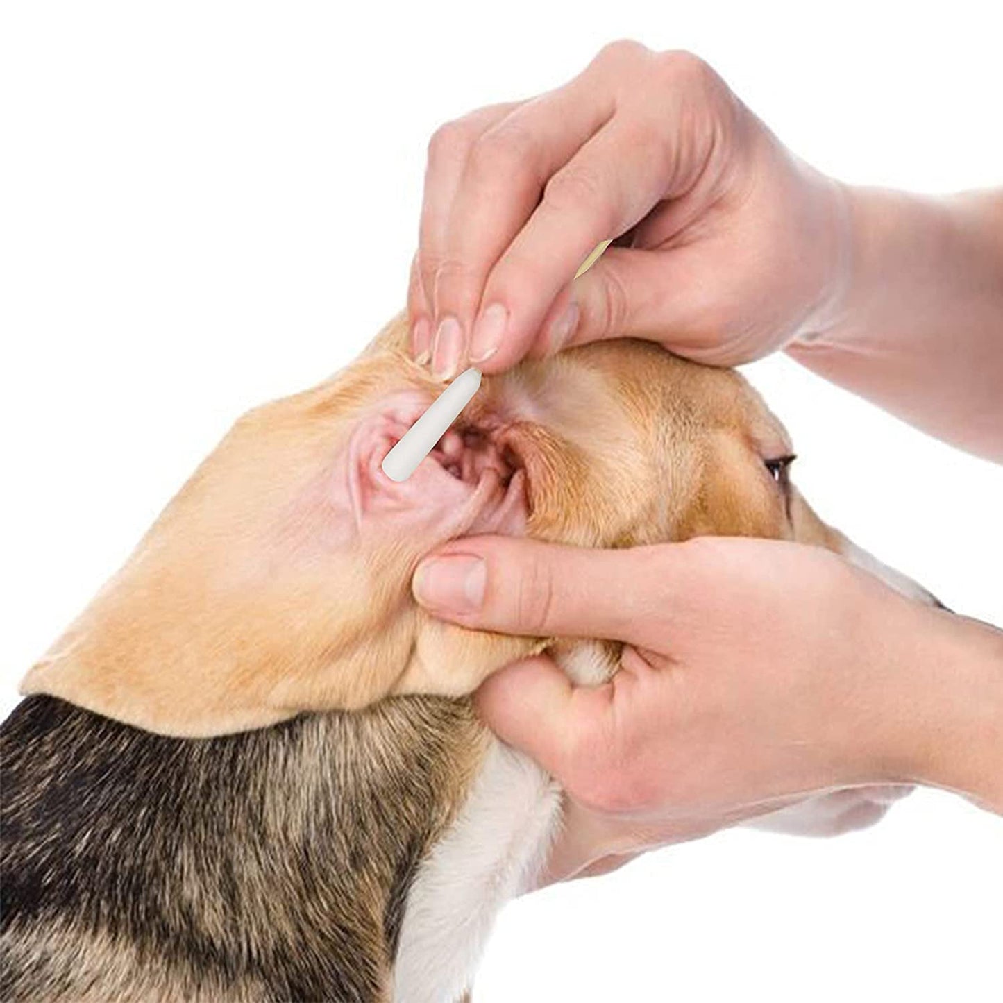 6 Inch Long Cotton Swabs of Medium&Large Pets Ears Cleaning,Makeup 100pcs
