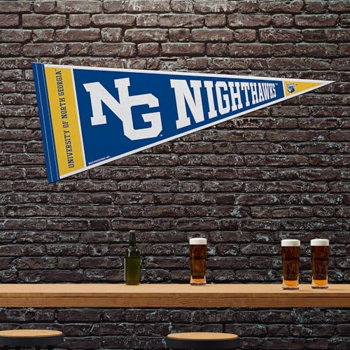 North Georgia Nighthawks 12" x 30" Felt Pennant Wall Decor