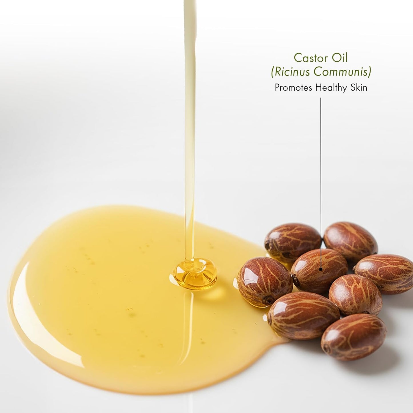 Organic Castor Oil Roll-On | Mess-Free Beauty Oil for Skin, Hair, Brows & Lashes - 1.7 Fl Oz
