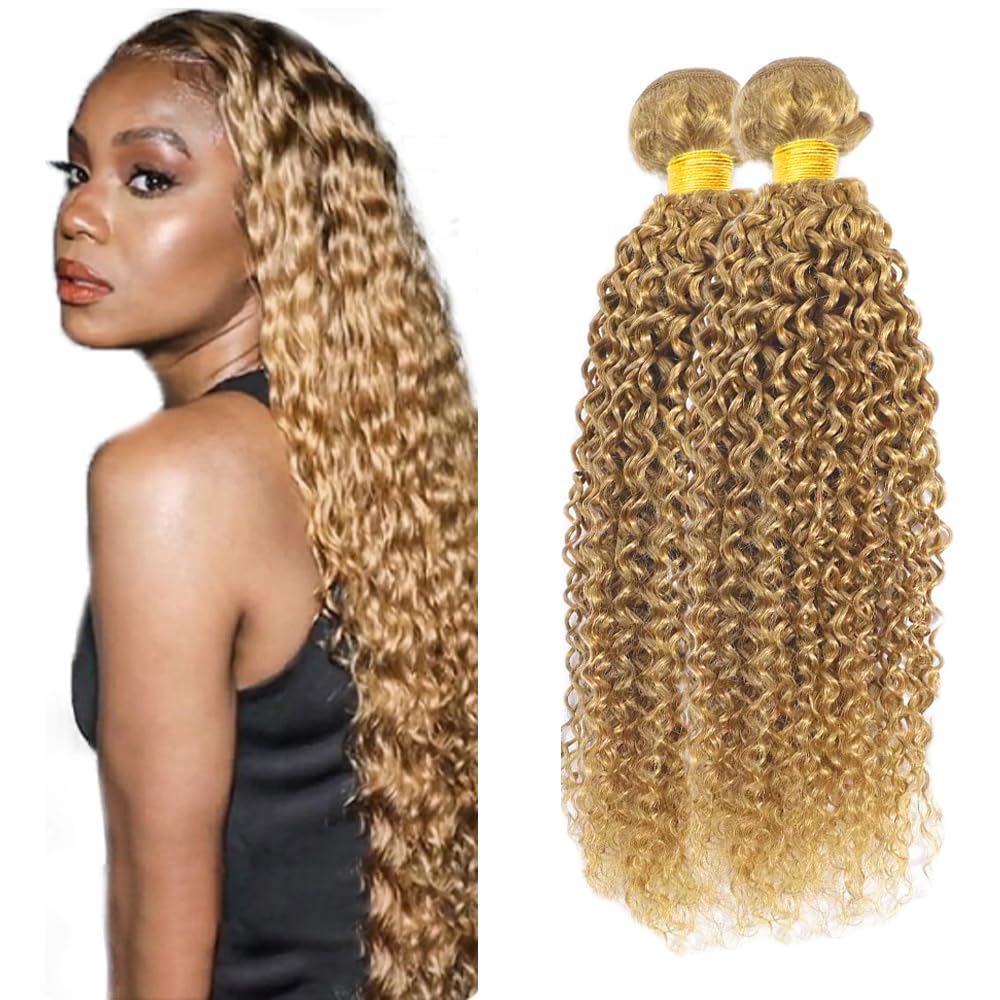 Honey Blonde Bundles Color #27 Kinky Curly Bundles Human Hair 8A Grade Brazilian Virgin Hair 22 22 Inch 27 Bundles Soft And Shiny Hair Extensions