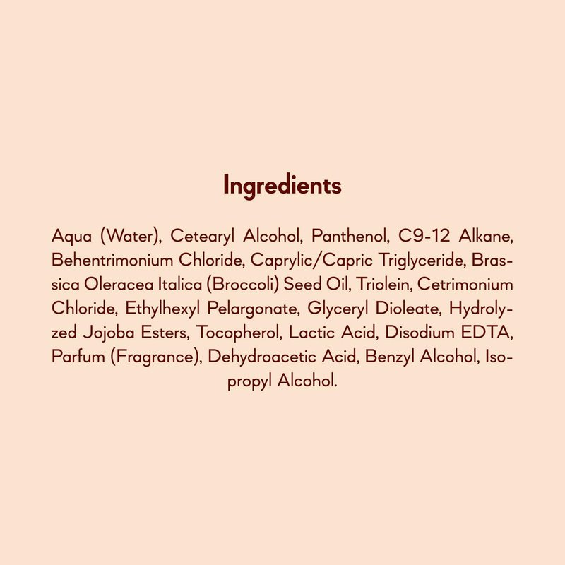 HairTry - Everyone, Everyday Conditioner - Emollient & Humectant Formula for All Hair Types – Broccoli Seed Oil – Jojoba Ester Protection – Net 8.45 Fl. Oz/ 250 ml
