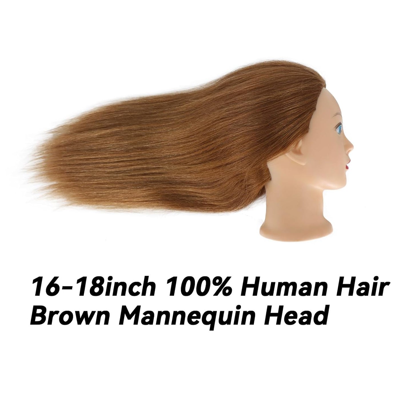 Real Hair Mannequin Head for Cosmetology - 100% Human Hair Styling & Braiding | #27 Light Brown