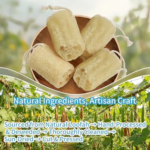 Natural Loofah Exfoliating Body Sponge - 4 Pack for Bath & Shower