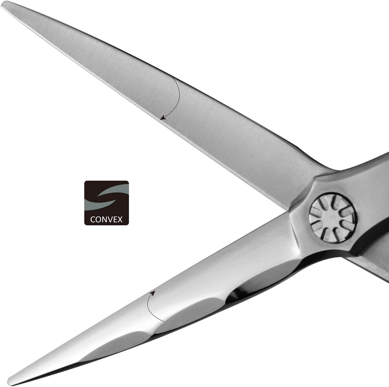 Professional Hair Cutting Scissors - Japanese Aichi SUS440C Stainless Steel Barber Shears | 6.0" Wet & Dry Cut