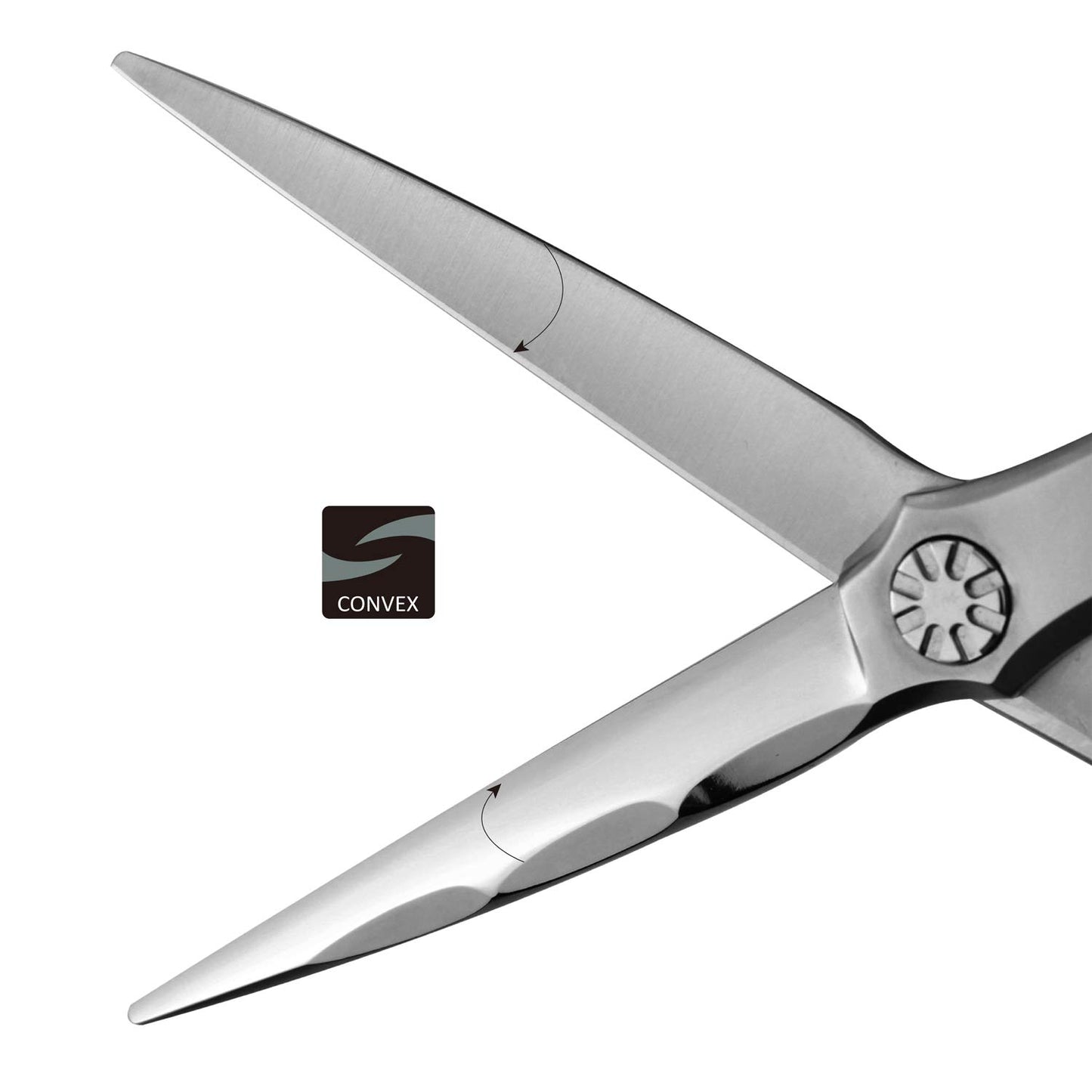 Wet and Dry Cut Professional Hair Cutting Scissors Barber Shears Japanese Aichi SUS440C Stainless Steel Salon Haircut (6.0" Wet&Dry Cut)