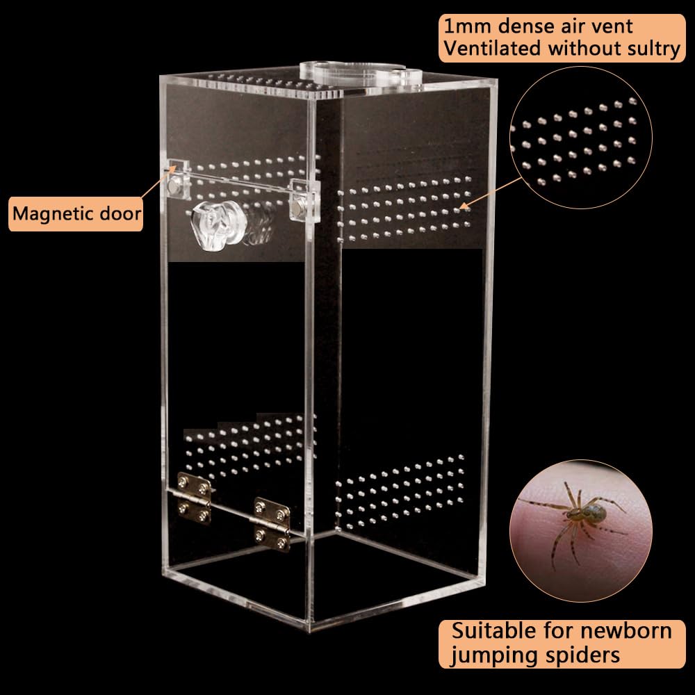JHCYULUO Jumping Spider & Tarantula Enclosure, Snail & Praying Mantis Habitat, Insect & Small Reptile Terrarium (6.8x3.1x3.1inch)