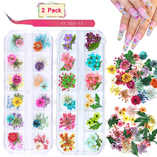 KISSBUTY Dried Flower Nail Art Kit – 2 Boxes, 24 Colors Mini Real Flowers & Leaves