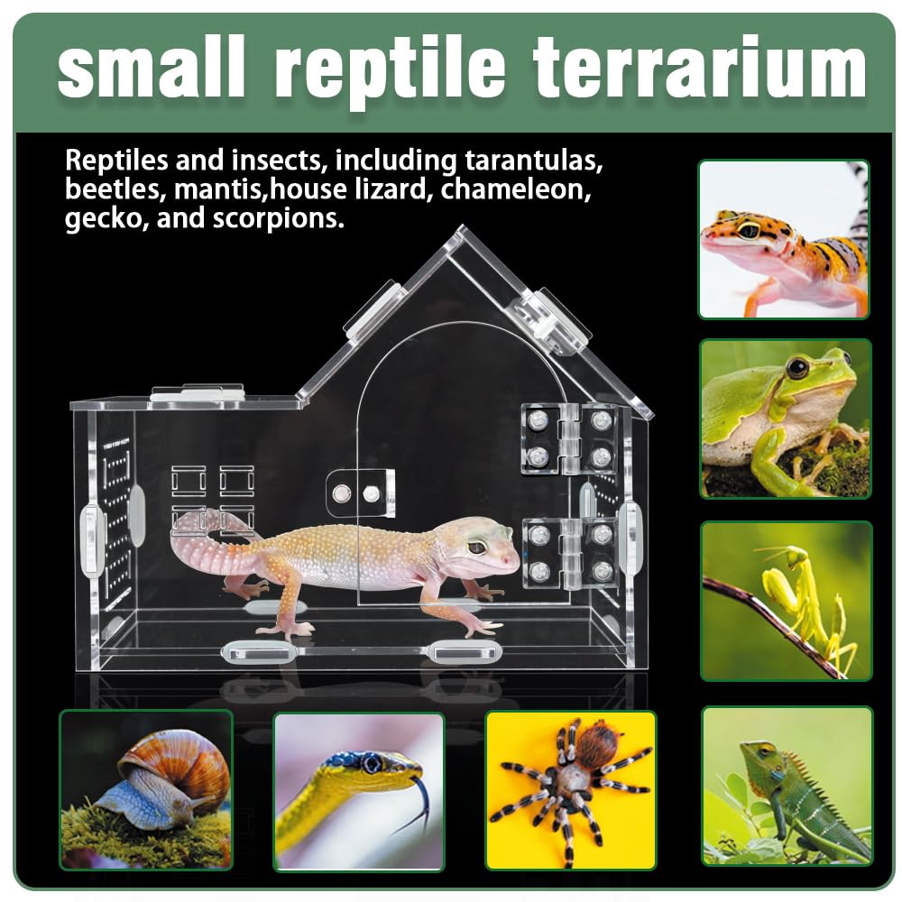 ZUIFIANLE Jumping Spider Enclosure, Acrylic Cabin Terrarium with Sloped Roof & Magnetic Front Door, for Arboreal Pets, Mantis, Small Reptile Habitat (Transparent Color, L 7.9",W 3.9",H 5.9")