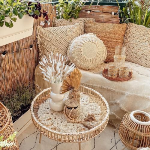 CISDUEO 120pcs Dried Bunny Tails Flowers for Boho Decor