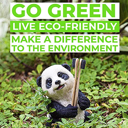 EveEco Bamboo Toothbrush - 4 Count, Soft Bristles, Charcoal