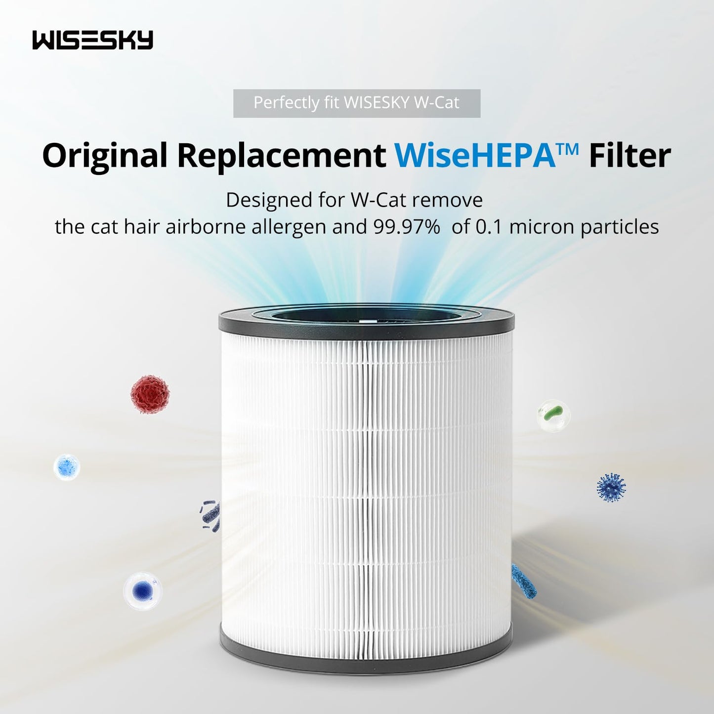 WiseHEPA Carbon Replacement Filter Compatible with WS360A Air Purifier, 9.33"L × 9.33"W × 10.39"H, Removes Pollen, Dust, Smoke, 1 Pack, White, Coverage 1644 sq.ft