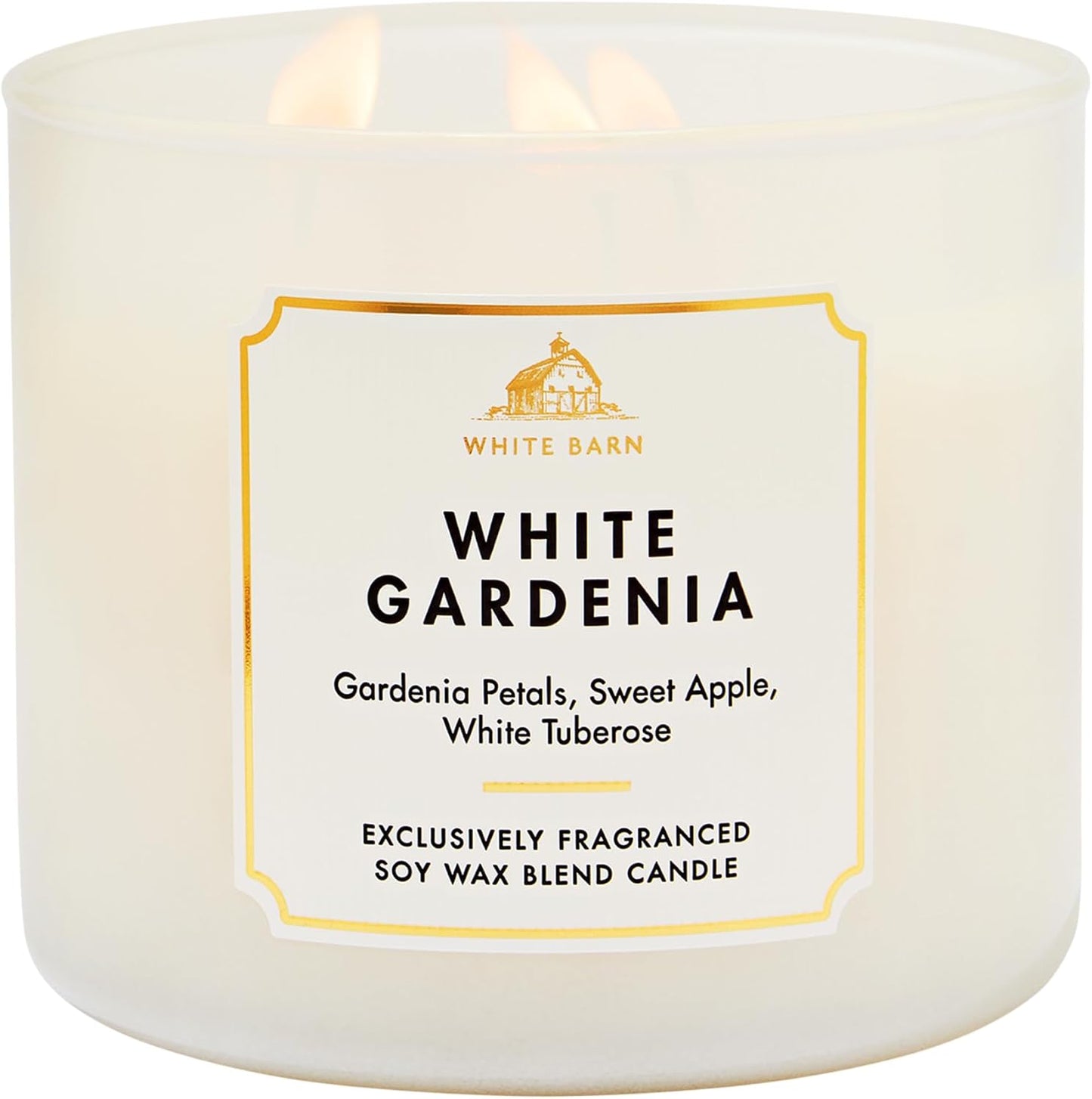 Moonlit Goddess Candle - 3-Wick Strong Throw Soy Wax Blend | Long-Lasting Burn Up to 45 Hours - 14.5 oz