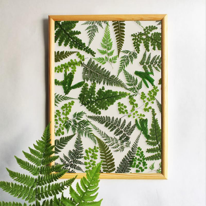 55 Pcs Dried Pressed Flowers & Green Leaves for Crafting