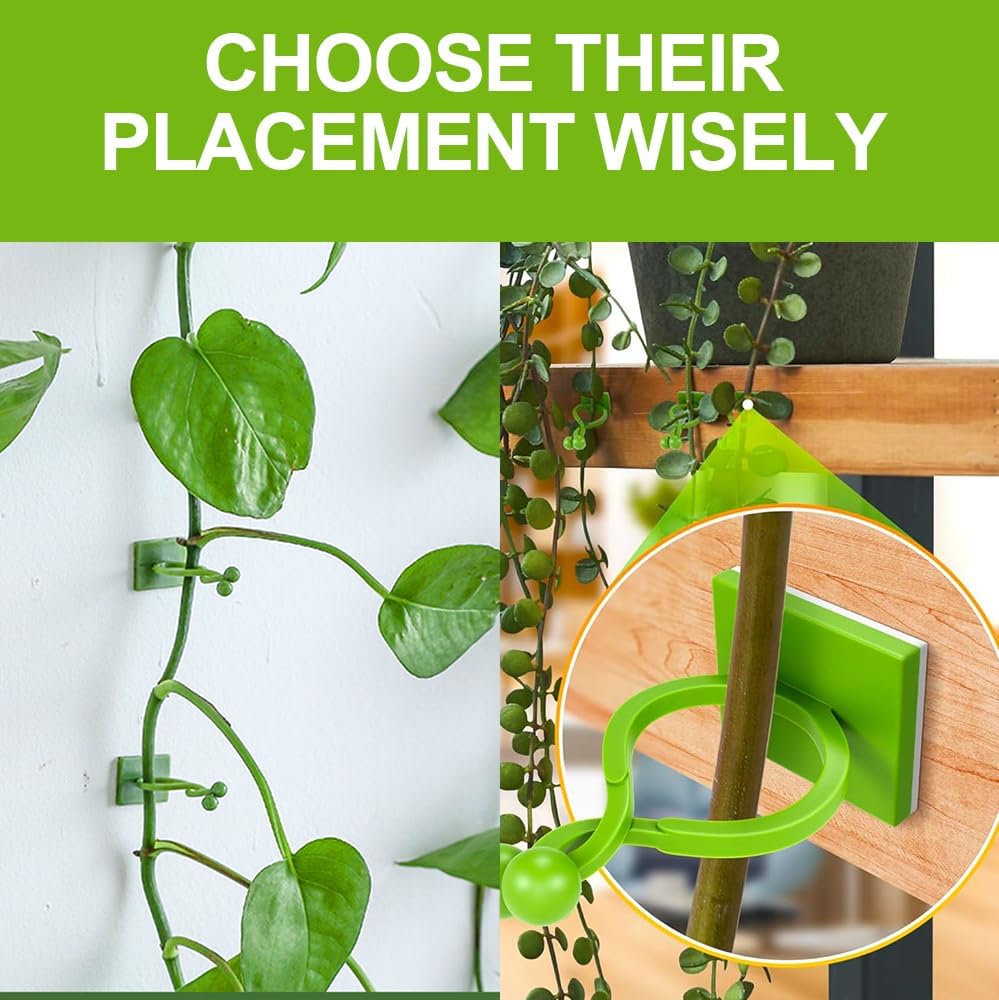 Plant Climbing Wall Fixture Clips - Self-Adhesive Support Hooks for Indoor/Outdoor Vines | 100 Pack, Green