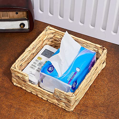 Natural Water Hyacinth Napkin Holder - Decorative Wicker Tray