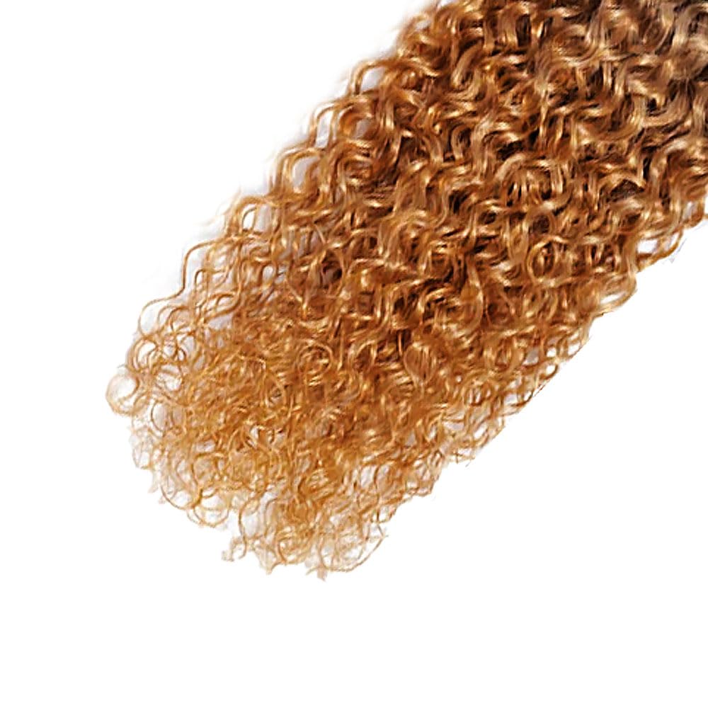 Ombre Brown Water Wave Bundles 1B430 Bundles Human Hair 26 28 30 Inch 8A Garde Brazilian Virgin Hair 3 Bundles Three Tone Black And Color #4 Mixed With Color #30 Human Hair Bundles Hair Weave