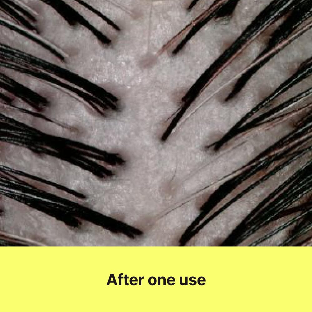 Kelp Hair Treatment Conditioner - Nourishing & Hydrating Formula for Dry, Itchy Scalp | 16.9 fl oz / 500ml