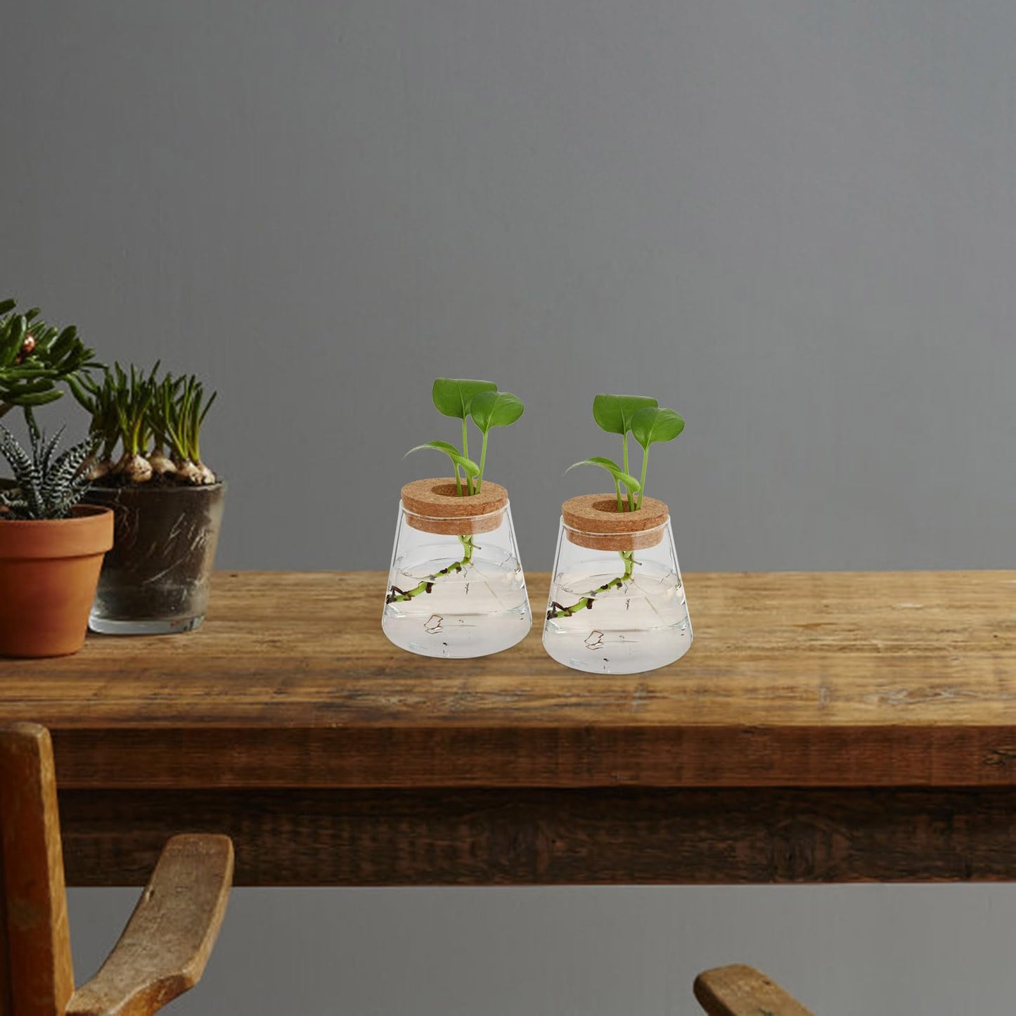 Aquatic Plant Transparent for Indoor/Outdoor Imitation Glass Flower Planter Garden Supplies Home Decor Hydroponic Flowerpot