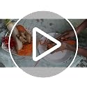 Traditional Coconut Scraper with Stainless Steel Blade - Ergonomic Kitchen Grater Tool
