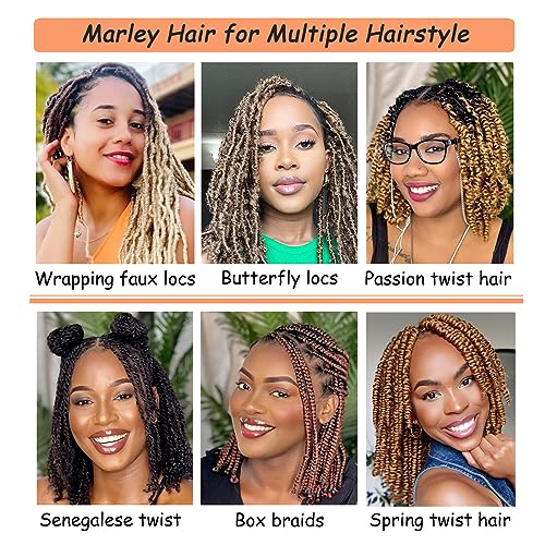 Hodgeous 3 Packs Marley Twist Braiding Hair - 12 Inch Springy Afro Twists