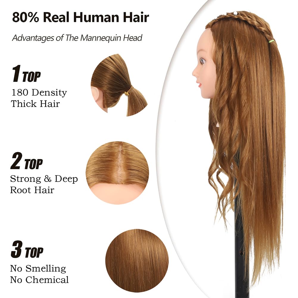 Mannequin Head - 80% Real Human Hair Cosmetology Practice Doll | 26"-28" Light Brown