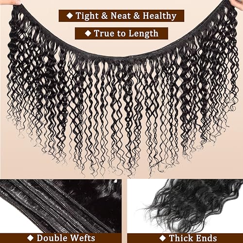 Quitoric 10-Inch Water Wave Human Hair Bundles - Brazilian Virgin Remy Hair