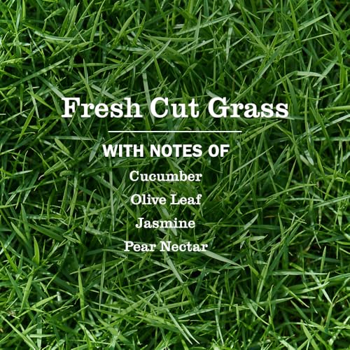 Mrs. Meyer's Clean Day Fresh Cut Grass Scented Oil Refills - 2 Pack
