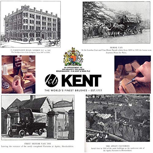 Kent Hairbrush Cleaner Tool for Removing Hair & Dandruff from Brushes