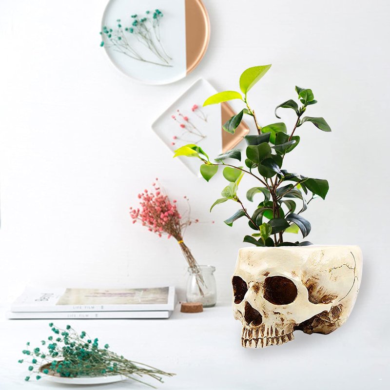 RMM Halloween Decoration Retro Human Skull Head Flower Pot Planter Bed Box Container Replica Home Bar Décor,Clear