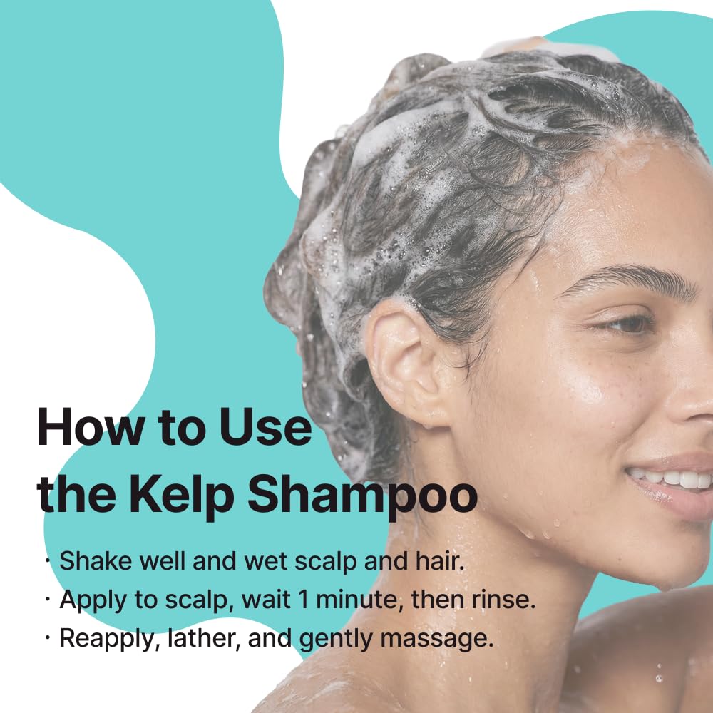 CHUNGMIJUNG Itchy Scalp Shampoo for Sensitive Scalp, Gentle Sulfate Free Seaweed (Kelp) Shampoo with Laminaria Japonica & Mung Bean, Hydrating Korean Hair Care for Dry Hair, 16.9 fl oz / 500ml