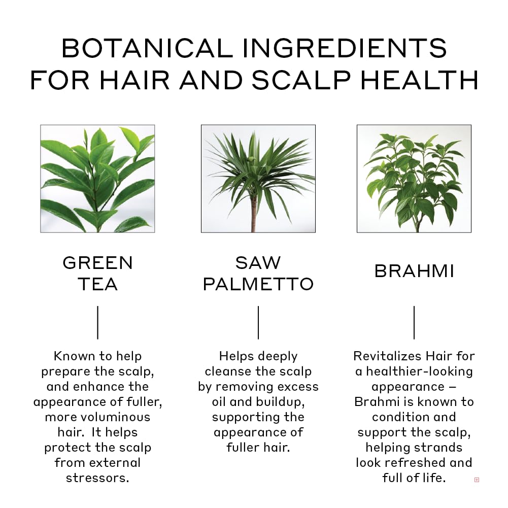 ZENAGEN Revolve Thickening Shampoo for Fine & Thinning Hair - Plant-Based, Color-Safe 5-Minute Treatment
