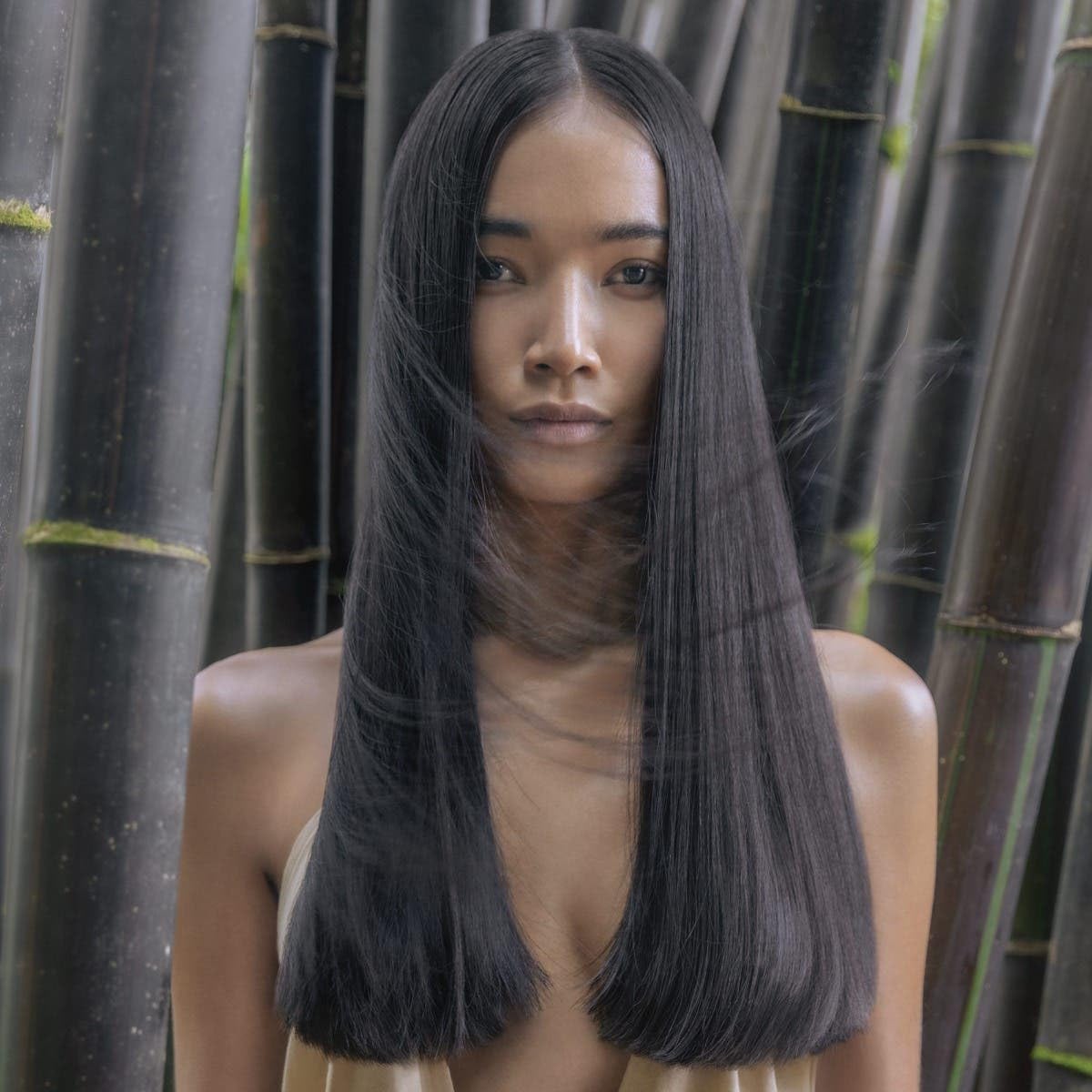 Awapuhi Wild Ginger by Paul Mitchell HydraSoft Glossing Treatment, For Glass-Like Shine, Ideal For All Hair Types, Especially Dry + Frizzy Hair, 8 fl. oz