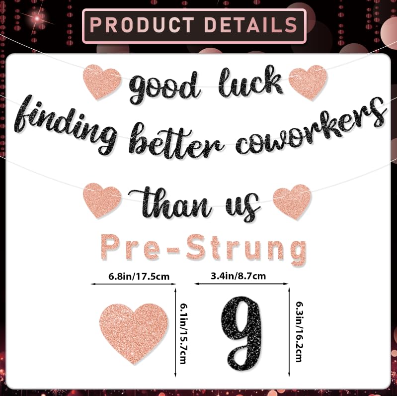 Rose Gold Farewell Party Decorations Kit - Goodbye Banner & Balloons