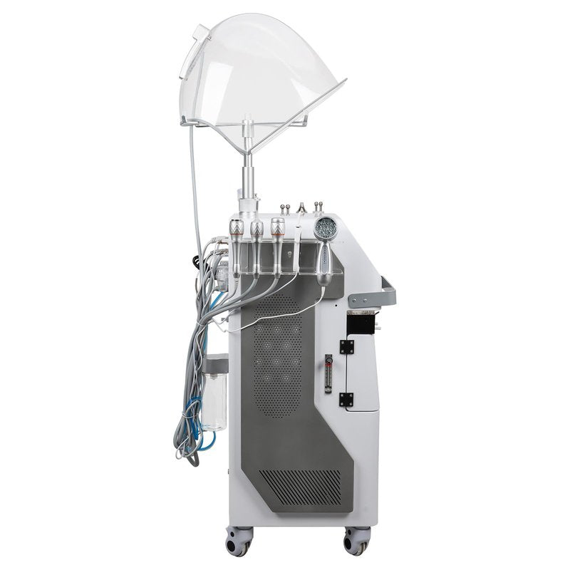 12IN1 Skincare Hydro Oxygen Device Beauty System
