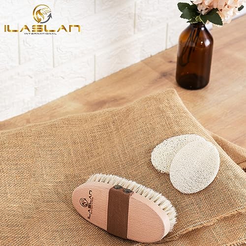 Dry Body Brush for Lymphatic Drainage & Cellulite Reduction with Natural Horse Hair & Facial Loofah Pads