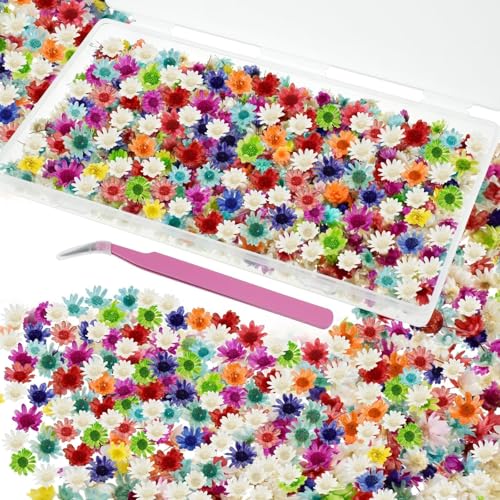 800 PCS Mini Dried Pressed Flowers for Crafting | Natural Real Flowers with Tweezers