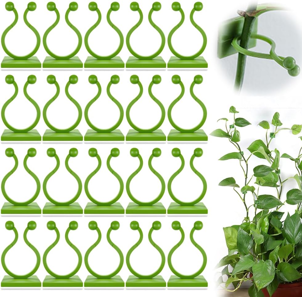 Plant Climbing Wall Fixture Clips - Self-Adhesive Support Hooks for Indoor/Outdoor Vines | 100 Pack, Green