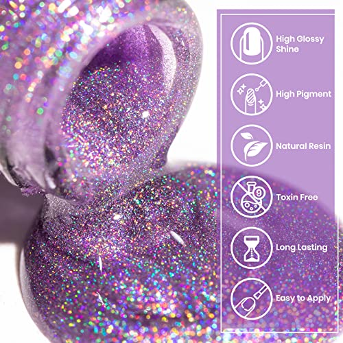12 Colors Rainbow Cat Eye Gel Nail Polish Set - Holographic Effects