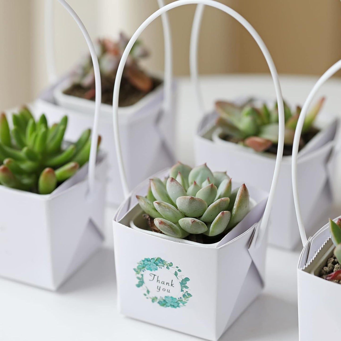 Thank You Succulent Wraps - 40pcs Decorative Sleeves for 2-Inch Pots | Ideal for Weddings & Baby Showers, White