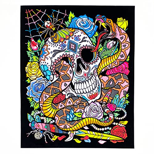 Fuzzy Velvet Snake Eyes Coloring Poster for All Ages - Skull & Spider Design